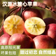 正宗四川雅安漢源冰糖心丑蘋(píng)果新鮮水果當季整箱鹽源昭通紅富士 大果 五斤