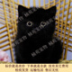 小黑貓活體幼貓純黑貓玄貓寵物貓活物幼崽家養貓咪 田園級 黑貓 公 x 幼年貓(12月以下)