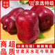 閩農語(yǔ)果花牛蘋(píng)果 【多地次日達】甘肅天水粉面蘋(píng)果水果蛇果中秋花牛蘋(píng)果 5斤【活動(dòng)款 單果60mm+】?jì)糁?.5斤