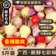 【順豐可選】廣西七彩椒 新鮮辣五彩泡椒廣西特產(chǎn)小燈籠椒整箱 【七彩椒】3斤|發(fā)順豐