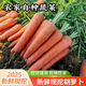 躬耕坊新鮮現挖農家自種沙土地脆爽可生吃紅蘿卜胡蘿卜 5斤裝