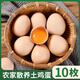 螢舞 土雞蛋農家鮮雞蛋笨雞蛋原生態(tài)山林草雞蛋谷物喂養柴雞蛋 10枚-土雞蛋