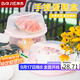 拜杰生日蛋糕包裝盒8寸可重復家用蛋糕包裝盒手提打包盒水果保存盒