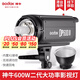 神牛DP600II 1000II 400II閃光燈影棚人像模特靜物證件照補(bǔ)光二代攝影燈 DP600II標(biāo)配【單燈頭/閃光燈】