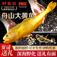 軒農谷舟山大黃魚(yú)鮮活野生深海黃花魚(yú)新鮮冷凍海鮮魚(yú)類(lèi)送禮黃魚(yú)海鮮禮盒 4條禮盒裝【單條1-1.3斤】｜年年有魚(yú)