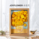 JoyFlower梵高向日葵永生花禮盒結婚紀念日生日禮物實(shí)用送女朋友高級精致