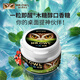 貓頭鷹先生（MR.OWL）韓國進(jìn)口MR.OWL貓頭鷹先生即醒無(wú)糖口香糖薄荷粒裝貼身隨帶休閑糖 原裝進(jìn)口即醒口香糖罐50g*1