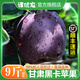 譯優(yōu)農【順豐】正宗甘肅黑卡蘋(píng)果黑鉆蘋(píng)果應季脆甜水果新鮮當季特產(chǎn)整箱 帶箱5斤特大果【85-90mm】順豐