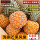 順豐海南芒果鳳梨新鮮水果鳳梨金鉆樹(shù)上熟斤佳農菠蘿整箱甜孕婦 5斤禮盒裝