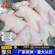 趕牛人白條小乳豬新鮮整只脆皮廣式烤乳豬半成品小香豬精品小耳朵豬 【整只5斤】去內臟乳豬 現殺包健康