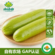 小湯山 西葫蘆 300g 基地直供新鮮蔬菜GAP認證