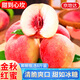 京地達山東金秋紅蜜桃子新鮮水果凈重8斤單果200g+新鮮毛桃源頭直發(fā)包郵