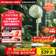 amadana艾曼達空氣循環(huán)扇非靜音電風扇家用落地扇立式電扇直流變頻風扇渦輪對流遙控大風量換氣扇 C6