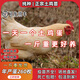 二斤重純種土雞活苗正宗三黃雞脫溫苗散養(yǎng)土雞苗柴雞苗蛋雞小雞苗 4-5兩重土雞苗 10只【2公8母】