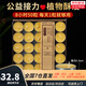 無(wú)煙酥油蠟燭燈供佛燈小太陽(yáng)植物天然酥油室內長(cháng)明燈居家煮茶蠟燭 8小時(shí)50粒-黃色1盒