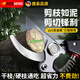 FACE MINI修剪樹(shù)枝剪刀專(zhuān)用工具剪枝剪刀樹(shù)枝園林園藝修枝粗枝果樹(shù)修花剪