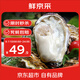 鮮京采 鮮活生蠔3XL 凈重6.18斤 15-20只 生鮮海鮮 中秋聚餐 源頭直發(fā)