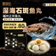 豬探長(cháng)福州正宗石斑魚(yú)丸250g 手工包心丸子 火鍋丸料關(guān)東煮麻辣燙食材