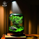 桌面創(chuàng  )意微景觀(guān)綠植diy擺件禮物客廳辦公室夜燈苔蘚盆栽植物盆景 生命之樹(shù)（煙灰色）+木制燈座