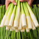 浙江源頭茭白當(dāng)季時(shí)令新鮮蔬菜農(nóng)家食用高筍現(xiàn)摘現(xiàn)發(fā)帶殼發(fā)貨鮮美 【浙江源頭茭白】1斤 新鮮現(xiàn)割農(nóng)家冷水茭白