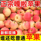 【10斤】2025現摘新鮮蘋(píng)果嘎啦果當季新鮮水果不打蠟3/5/10斤整箱 帶箱9-10斤【大果】精選品質(zhì)