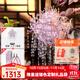 拼酷粉黛二十二鳳冠 粉冠粉紅色鳳冠 3d立體拼圖中秋節禮物送女友 粉黛二十二鳳冠+粉色工具套裝