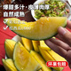密云愛(ài)華彩虹黃心西瓜吊瓜麒麟瓜 新鮮現摘當季應季水果 產(chǎn)地直銷(xiāo) 4粒精品瓜—紅黃各兩粒（單瓜2斤左右）
