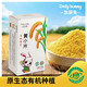 凱荻兔 CADY BUNNY赤峰有機(jī)黃小米 胚芽黃小米月子寶媽五谷粥米 寶寶輔食營(yíng)養(yǎng)谷物粥 450g*1盒裝（嘗鮮*真空盒裝）