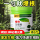 嘉佳迦強力生根粉植物通用樹(shù)木壯苗生根劑扦插移栽快速生根花肥谷生根液 生根粉 500g 1罐 精品