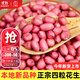 大禹花生種子原種新品種紅皮產高農科院黑花生種籽批發(fā)四粒山東本地 四粒紅花生種子1斤 剝殼籽