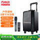 萬(wàn)利達(dá)（Malata）戶外音響8英寸大功率戶外移動(dòng)藍(lán)牙音箱無(wú)線拉桿便攜式低音炮廣場(chǎng)舞音響充電帶麥克風(fēng)M+9015