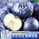 京地達藍莓云南花香新鮮藍莓脆甜水果125g*4盒特大果20mm+源頭直發(fā)包郵