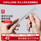 雙立人（ZWILLING）指甲銼打磨條修型拋光搓條雙面磨砂海綿條拋光條德國修甲美甲工具