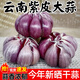 青饞貓曬干云南紫皮蒜紅皮香蒜優(yōu)質(zhì)干大蒜頭批發(fā)大蒜種子紫皮大蒜 凈重3斤【40mm+】