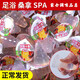螺旋果凍專(zhuān)用甜佳果凍彈性好韌性好10斤150個(gè)玉米橄欖按摩果凍 尖頭螺旋果凍10斤150個(gè)【整箱】