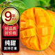 生活＆好管家四川凱特芒大芒果新鮮水果時令芒果應(yīng)季整箱現(xiàn)摘生鮮芒果 凱特芒帶箱5斤(凈重4.5斤) 【中果】單果250g+(試吃裝)