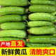東北特產(chǎn)天然旱黃瓜刺黃瓜小青瓜水果黃瓜生吃黃瓜新鮮凈重發(fā)貨 5斤黃瓜