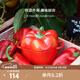 琺寶（staub）陶瓷創(chuàng  )意雙耳帶蓋補品湯盅燉罐湯煲蒸蛋盅甜品湯碗小烤盤(pán)烘焙模具 彩椒-紅色