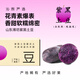 沁煦【嚴選】黑土豆黑金剛黑紫小土豆新鮮蔬菜紫色洋芋黑美人馬鈴薯 3斤 【嚴選果丨單果100-150g】