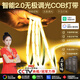 希爾登已接入米家APP智能三色COB燈帶自粘24V低壓線性燈客廳led氛圍燈帶 20米燈帶+石墨烯智能電源+遙控