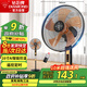 鉆石牌電風(fēng)扇家用落地扇辦公室立式風(fēng)扇客廳大風(fēng)量遙控定時(shí)搖頭風(fēng)扇FS-40Y-1