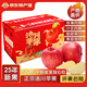 洛川蘋(píng)果（luochuanapple）25年新果正宗延安紅富士蘋(píng)果當季時(shí)令水果新鮮脆甜整箱批發(fā) 凈重4.5斤中大果75-80mm（10-12顆）