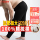 恒源祥【大碼秋褲男】100%純棉薄加肥加大抗菌保暖褲打底棉毛襯褲秋冬