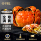 【活蟹】今錦上大閘蟹鮮活螃蟹禮盒全母2.5-2.8兩8只裝精品禮盒禮品 去繩足重