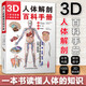 人體解剖彩色學(xué)圖譜 第三版第3版新版 郭光文3D搭奈特醫用醫學(xué)生解剖書(shū)外科全彩局部系統實(shí)用解剖彩繪本科大學(xué)教材二版升級人民衛生出版社 奈特醫學(xué)圖譜全集 新華書(shū)店正版 3D人體解剖百科手冊