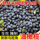 正宗潮汕特產(chǎn)現摘烏橄欖新鮮黑橄欖油欖車(chē)酸欖左尾欖可腌制做欖角 5斤