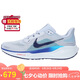耐克NIKE男子跑步鞋 飛馬41 PEGASUS 41 運(yùn)動(dòng)鞋F(xiàn)D2722-014灰藍(lán)白42