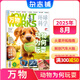 萬物雜志2025年訂閱 8-15歲青少年科學(xué)科普 3D圖解知識 中小學(xué)生課外科普百科通識知識 How it works 中文版期刊單月/半年/全年少兒閱讀雜志鋪環(huán)球科學(xué)青少年版非英文版 【現(xiàn)貨】萬物2