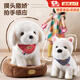 麥格萌兒童玩具女孩3-6歲毛絨小狗西高地會(huì )跑會(huì )寶寶生日禮物女童6-12歲 比熊-禮盒款【拍手互動(dòng)+撒嬌叫喚+拆洗毛套】 新年禮物圣誕節禮物小男孩5-7-9