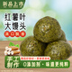 隨谷 窩窩頭 槐花榆錢(qián)山藥地瓜紅薯葉馬蜂菜野菜饅頭糖尿病人輕食主食 地瓜葉大饅頭10個(gè)